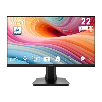 Monitor 22