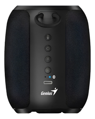 Parlante Genius Sp-915Bt Rgb Black